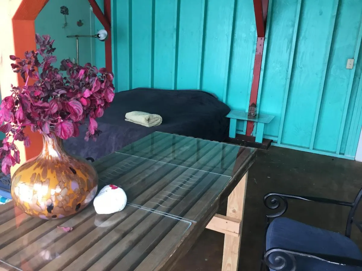 Aqua Room In Tropical Forest Between Hilo And Volcano Mountain View 0*,  United States