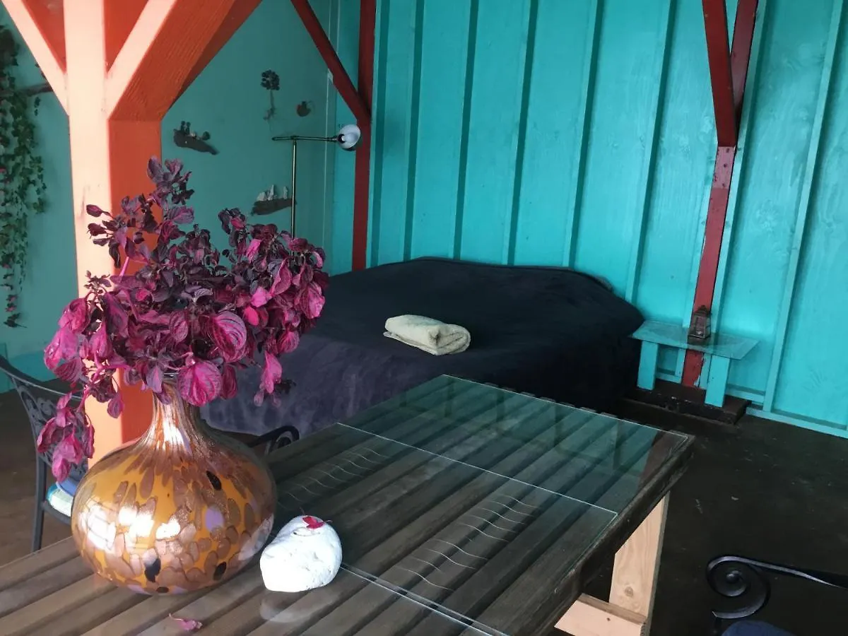 Aqua Room In Tropical Forest Between Hilo And Volcano Mountain View Guest house