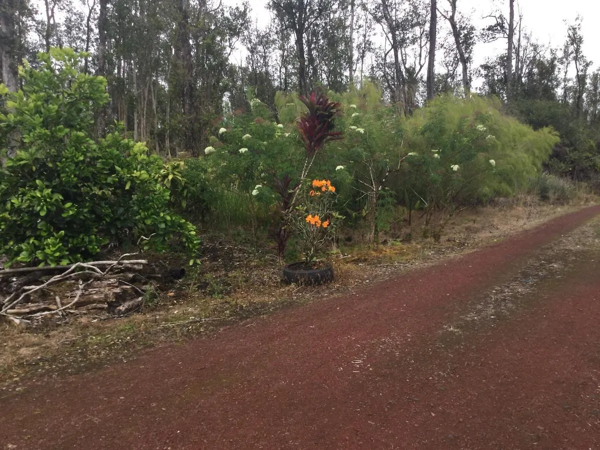 Guest house Aqua Room In Tropical Forest Between Hilo And Volcano Mountain View United States