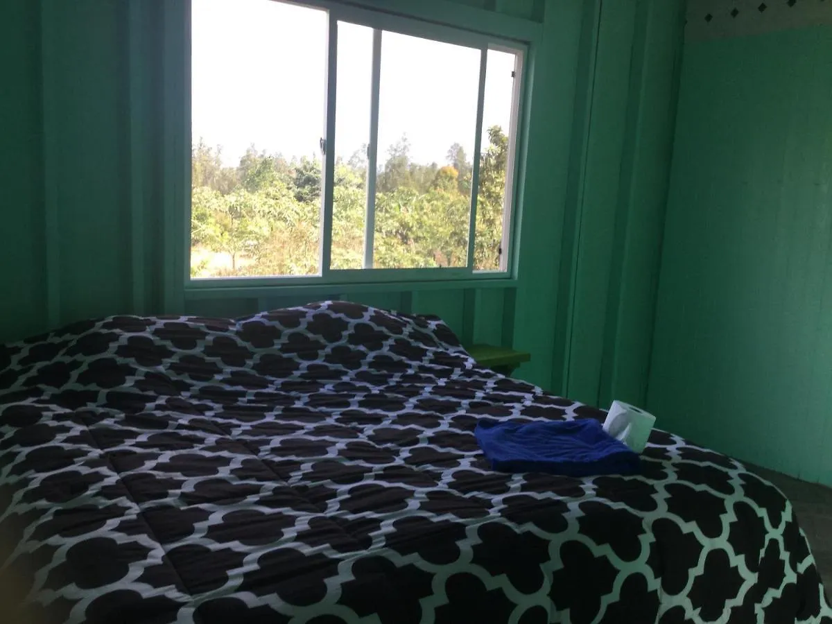 Aqua Room In Tropical Forest Between Hilo And Volcano Mountain View United States