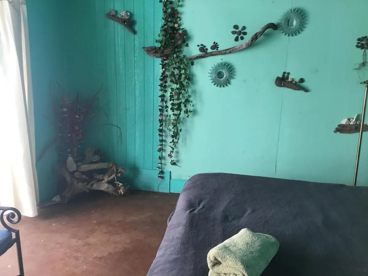 Aqua Room In Tropical Forest Between Hilo And Volcano Mountain View
