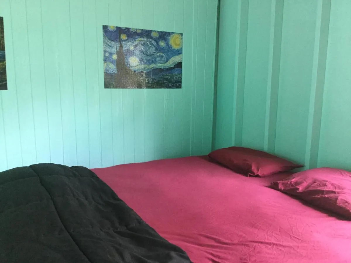 Aqua Room In Tropical Forest Between Hilo And Volcano Mountain View United States