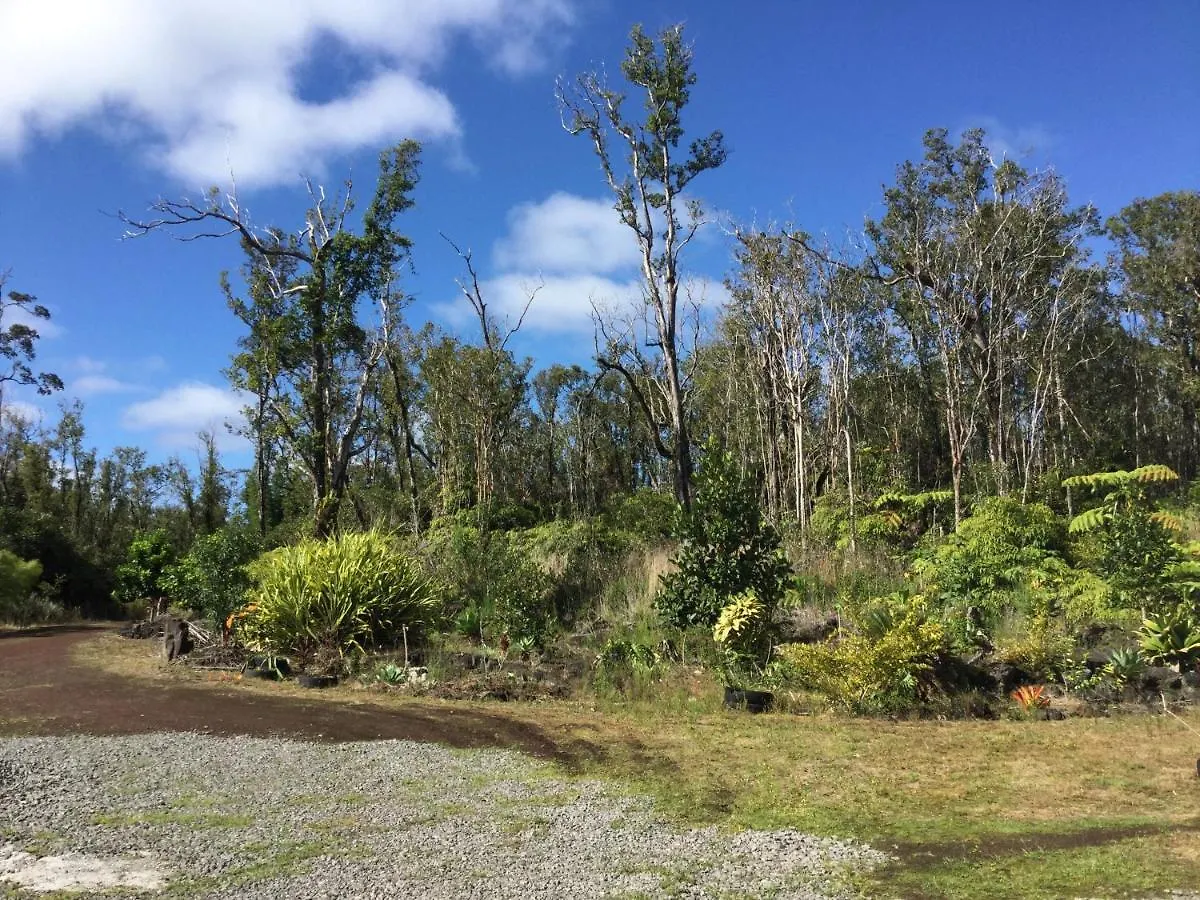 Aqua Room In Tropical Forest Between Hilo And Volcano Mountain View