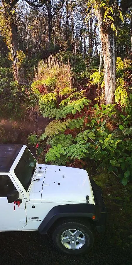 Aqua Room In Tropical Forest Between Hilo And Volcano Mountain View